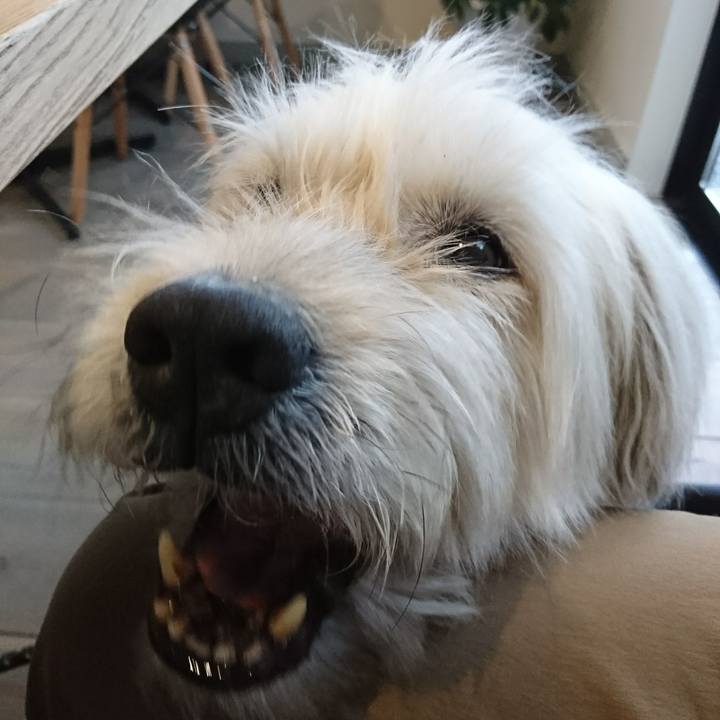 Fe994517 bf72 4b3c 8c49 e215726f5f59 1581142350070