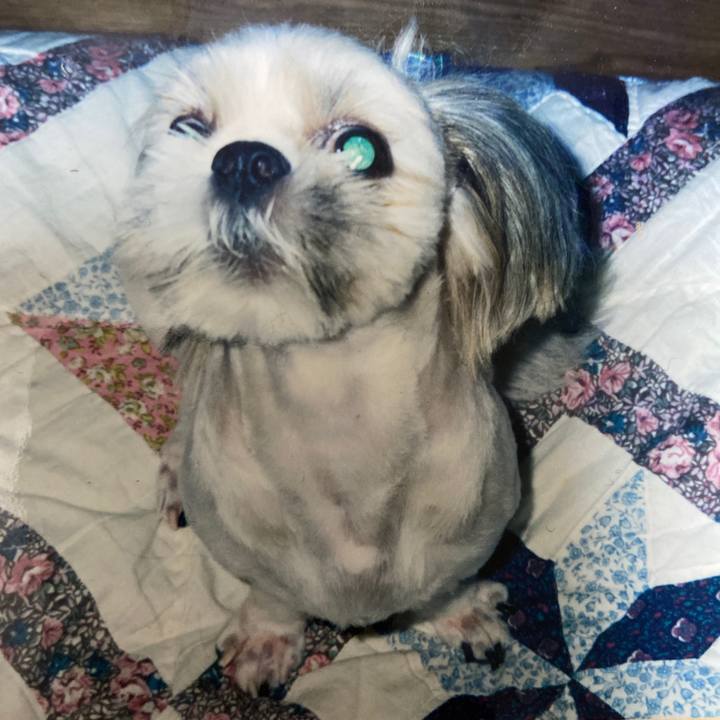 Fe996093 af03 42d7 8b46 67155d4f7e54 1625395721720