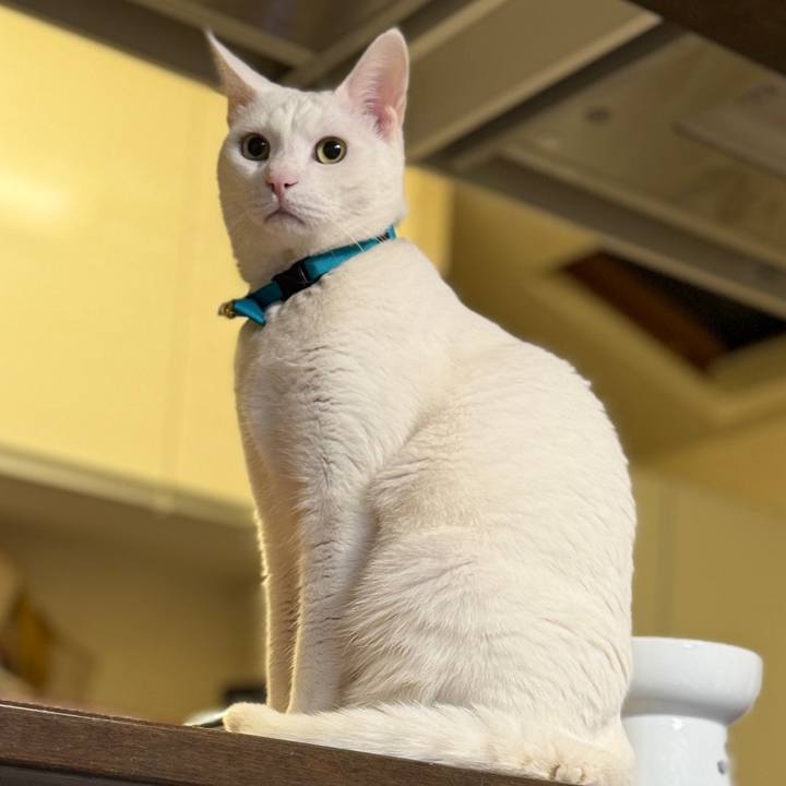 Fe997b58 654e 410c 97f9 6fd0a9d72303 1769484822029