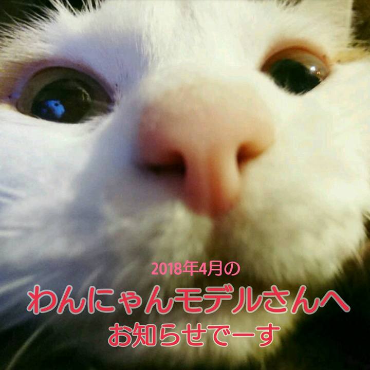 Fe998206 f40a 412c 82d5 ed4fdbde0fc4 1552299241960