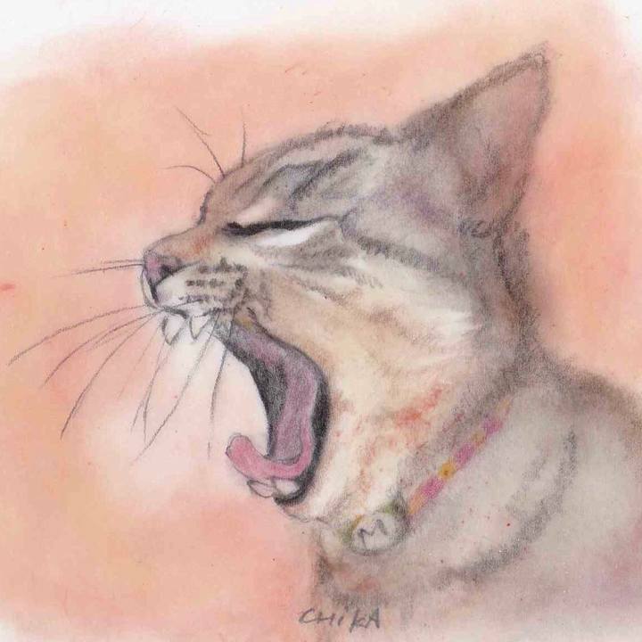 Fe999c27 83e7 4b01 bc16 6ab868813781 1580165802995