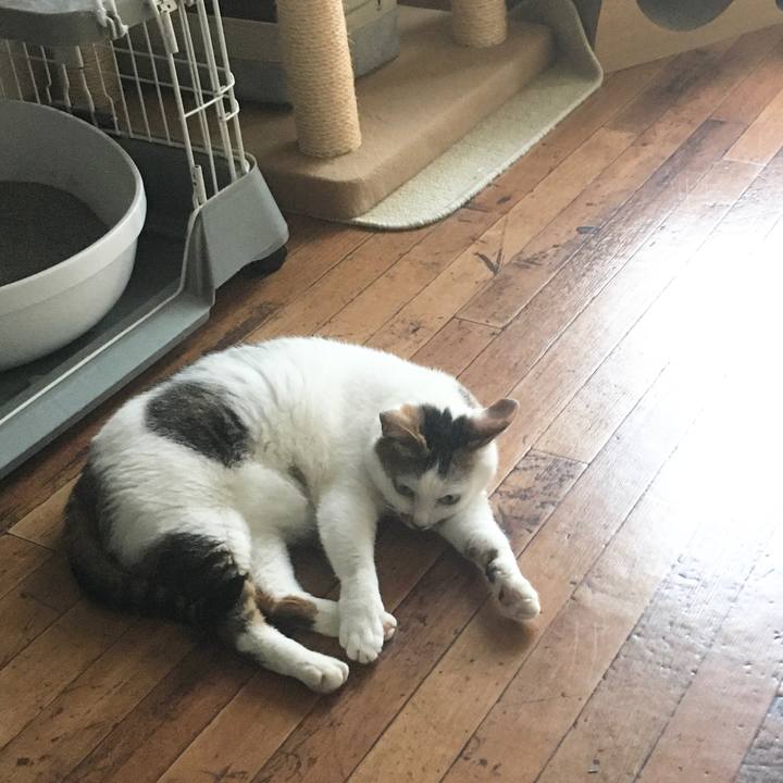 Fe99bb3b a673 4522 9a18 f45ea3d82b70 1594373102013