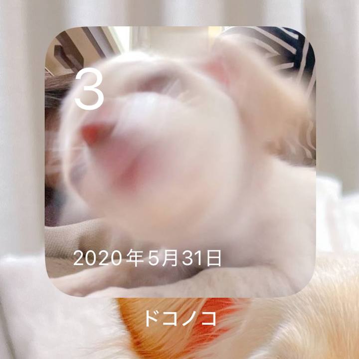 Fe99fc43 b23f 49ef a986 532fd4dc881d 1748934401214