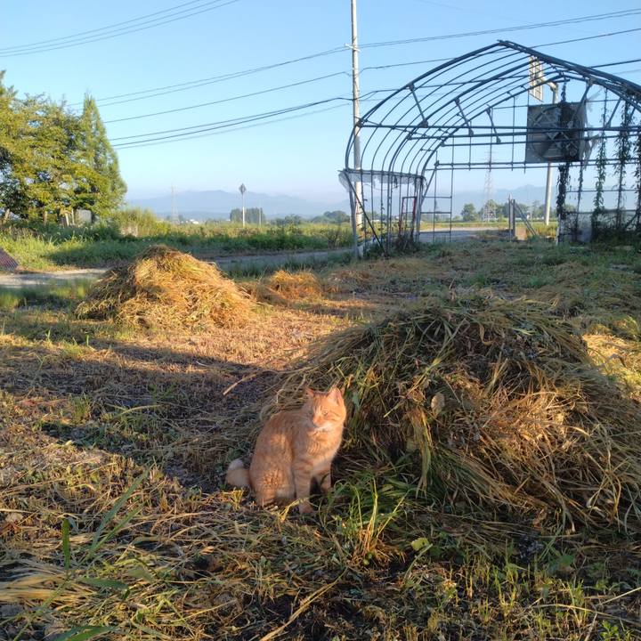 Fe9a4f3a 810f 4718 9162 505fa6f5ab97 1692657780773