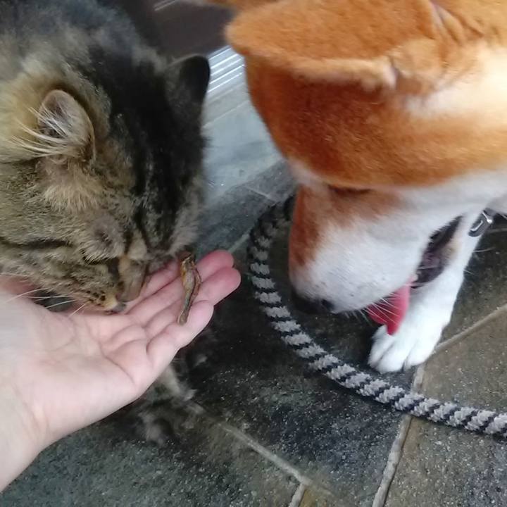 Fe9a9d5d 716c 4ec7 8075 50a008753fe7 1626390722021