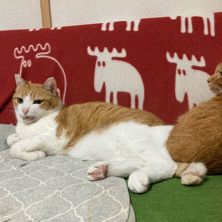 Fe9aa102 378f 466b 9c93 6b7431d7945b 1764721114917