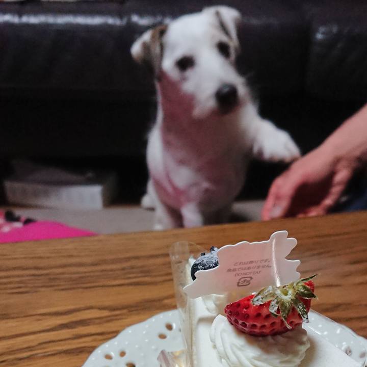 Fe9aac14 76c1 4599 8a4c cac0e5c342c2 1584055374445