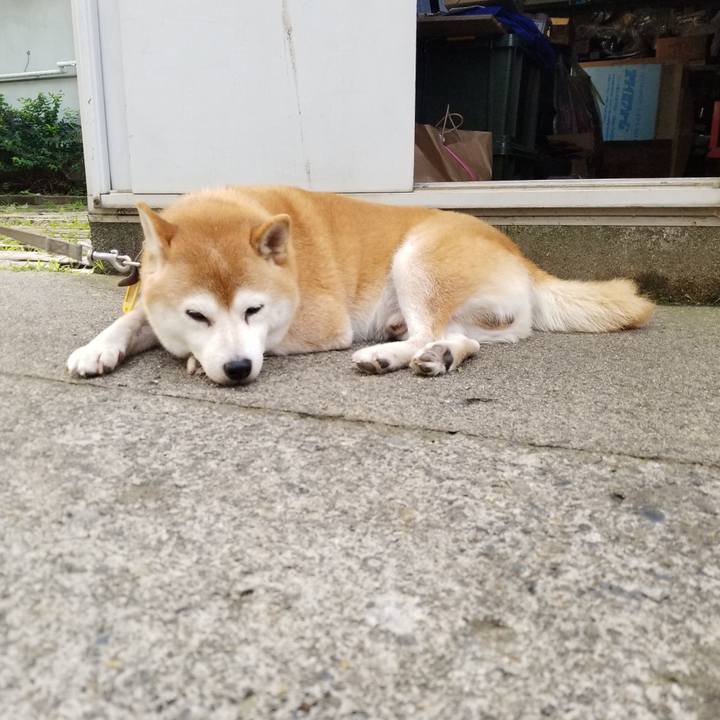 Fe9abf89 c36a 49de b746 d3dc914895be 1630910933966