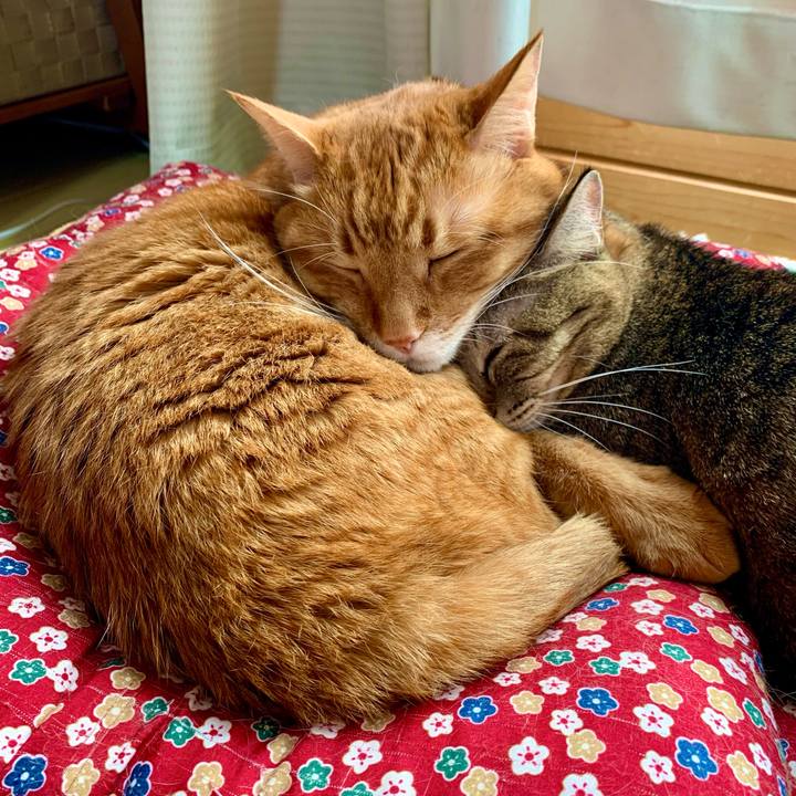 Fe9b0ab9 a507 4ec2 a4f5 eb19e662c607 1638755872641