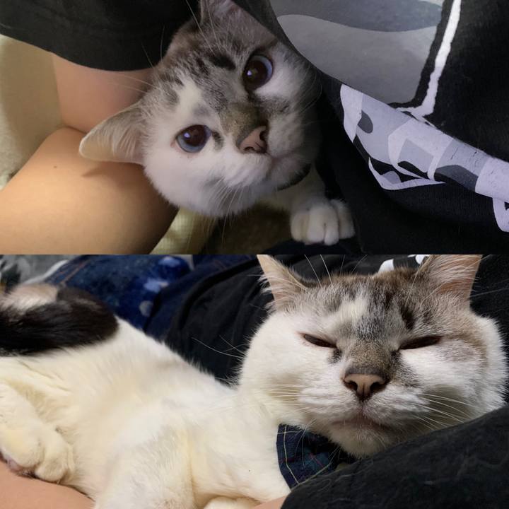 Fe9b5038 794f 454a 89db b2de61e9e501 1583925583753