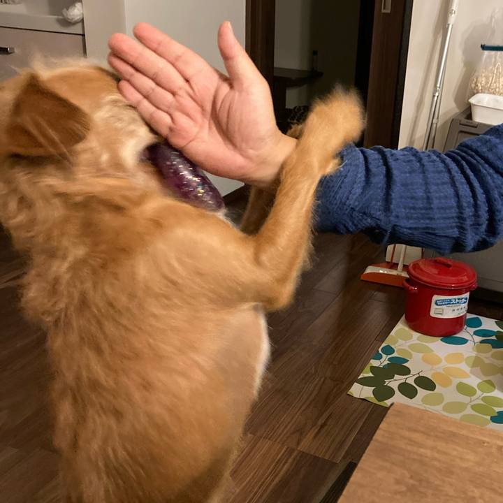 Fe9b746d 5d4d 4426 8c68 2f45c5aa034f 1634642261954