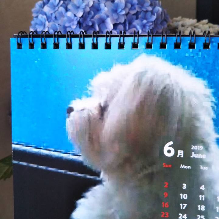 Fe9ba634 6095 4ebd b2fd 7fcc17415b2d 1559439980608