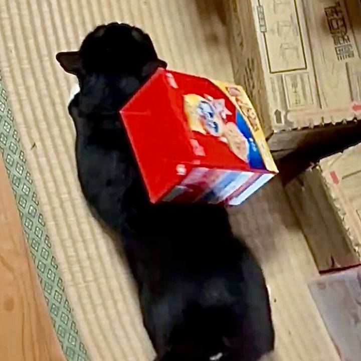 Fe9bbcf1 6b83 47d1 bd70 d01257f50aa8 1751890447620