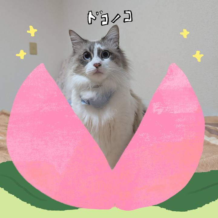 Fe9bcea4 7404 41ef a88d 517d656acce4 1772051033438