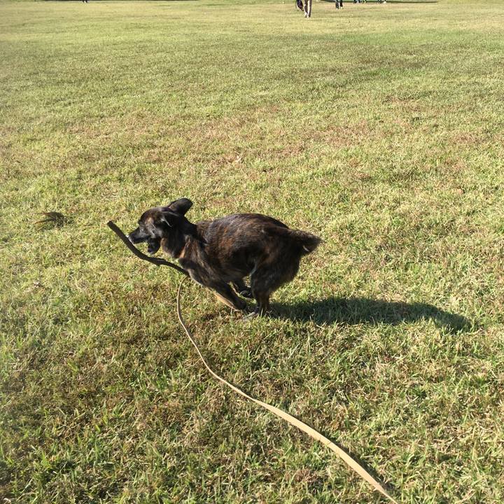 Fe9bd670 568b 4db2 9db5 034b4ddde787 1509894545338