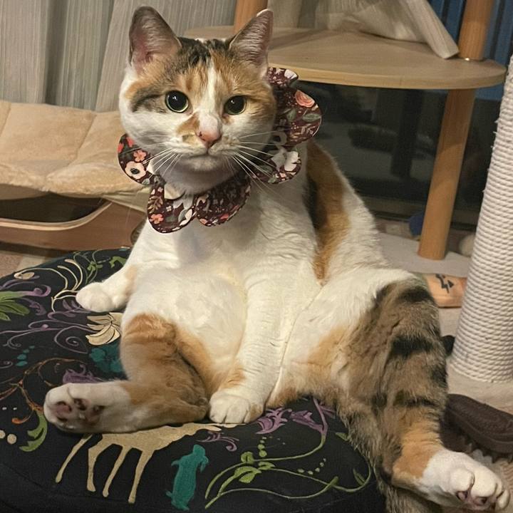 Fe9be0ff 814d 4ce1 ba05 034f833f9498 1744988843962