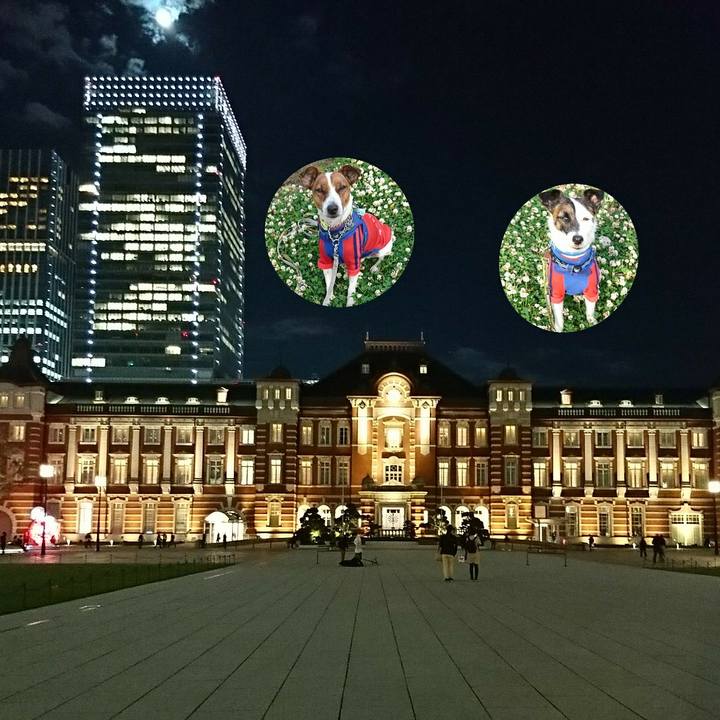 Fe9c15fb e0d6 4be4 aa8f d38d242745e7 1573734113296