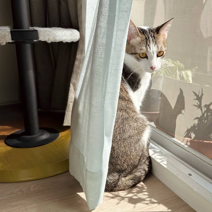 Fe9c1cff 97a0 4e6c b784 204ffd9385a7 1771647729149