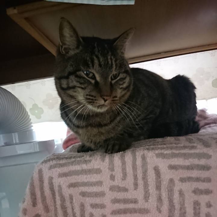 Fe9c8094 b187 40ff bc4a 19b44fbda896 1641502674059