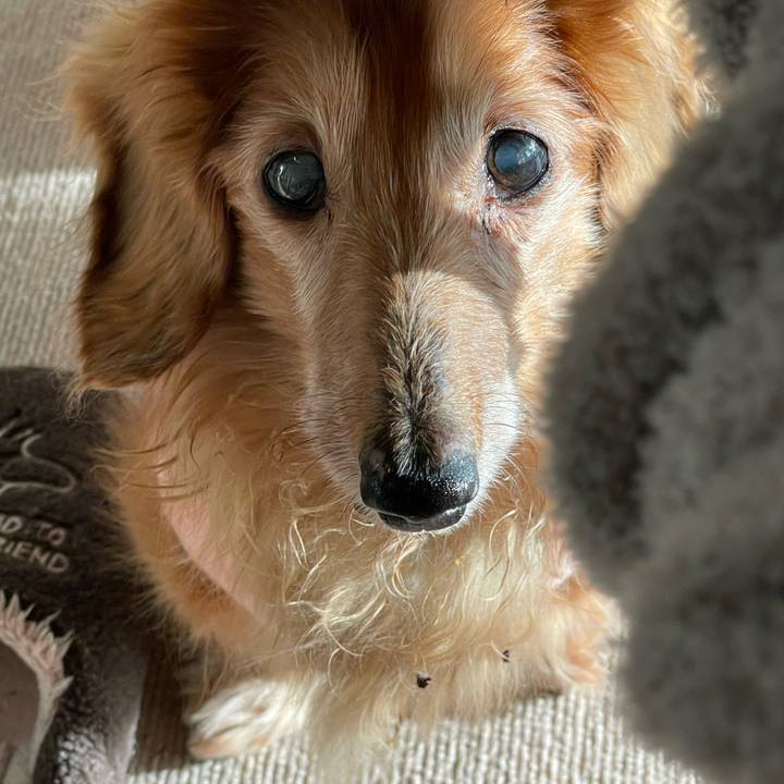 Fe9c8c20 b6b7 4ed3 8cbc 74f360fa6e8a 1703833794664