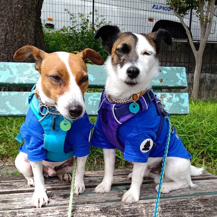 Fe9c92b8 ca09 4819 ab08 a51aaa987aa4 1620264112381