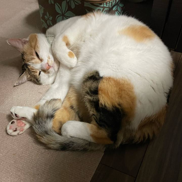 Fe9d6f07 19ff 4f0e a882 205f6c0a8622 1687614314111