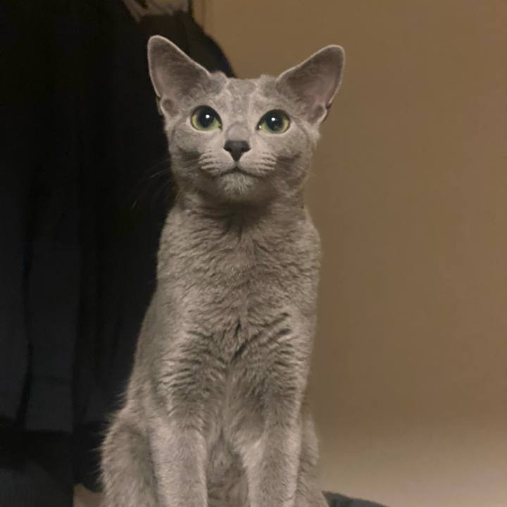 Fe9d8133 86eb 4bf8 8aba eaf55472e76e 1616759070028