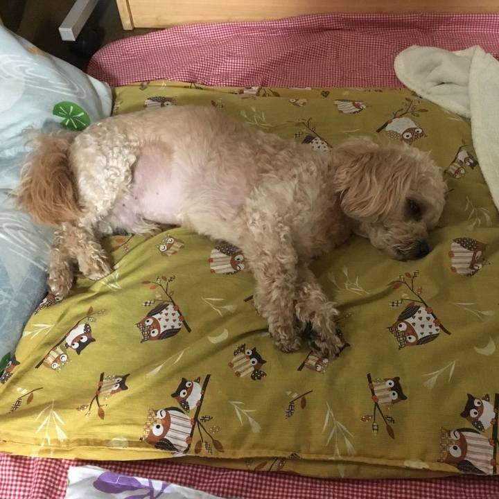 Fe9d82a1 2dc9 43de 89cd e3500714aa1e 1529284082549