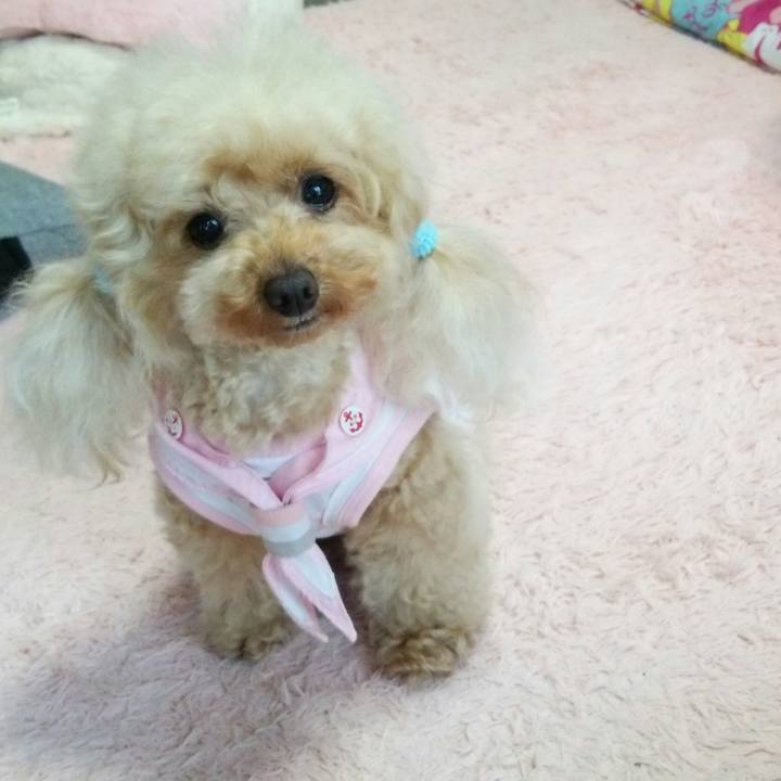 Fe9dcc97 fcba 4efd a076 8872c4f1e9b3 1559719521331