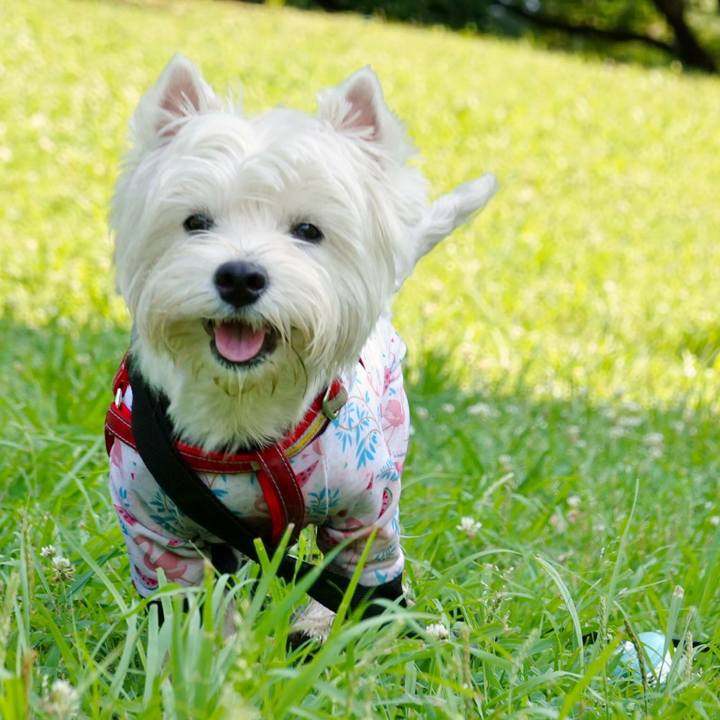 Fe9de186 d06c 49cc a75c ae36abb5489d 1529999525551