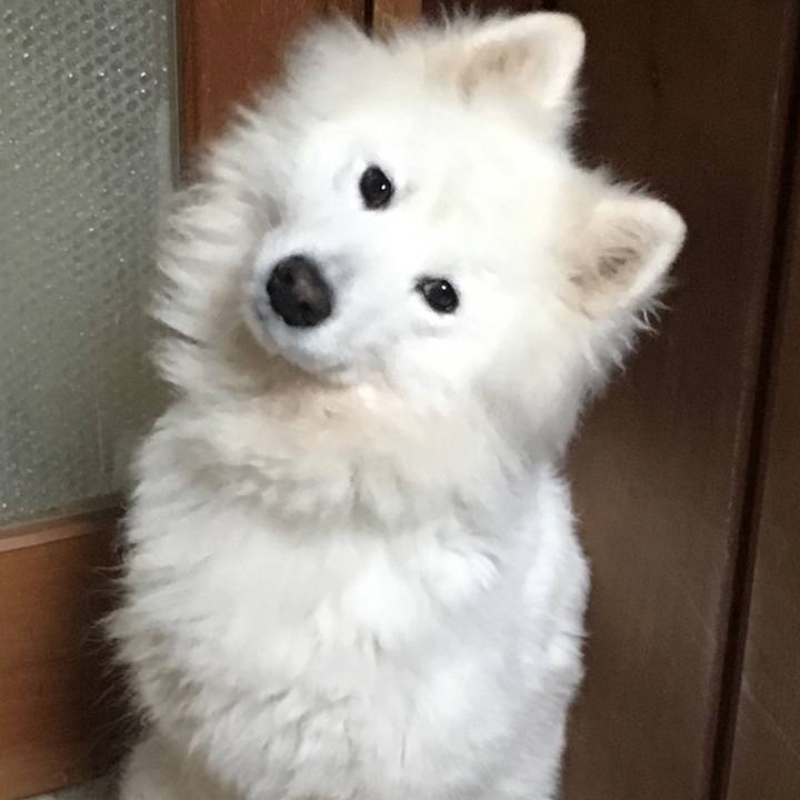 Fe9de48c 63a9 4c64 bfed 79054a70f310 1546228775352