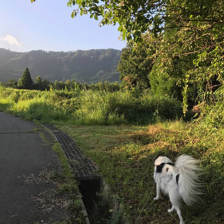 Fe9de9e0 c13f 4227 adb4 34a0f58a370e 1536153263237