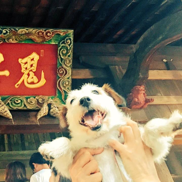 Fe9e158d 5781 4de1 aec8 b07af698717a 1531046401126