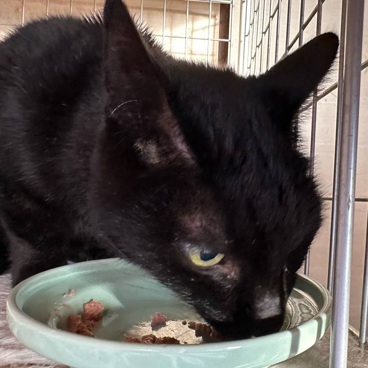 Fe9e2753 f25a 4ffb 82c5 23f9aebb2d55 1706051825921