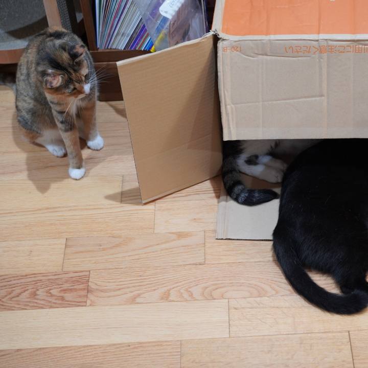 Fe9e5e34 29a9 4b97 affc 9ded296879f9 1628515961391