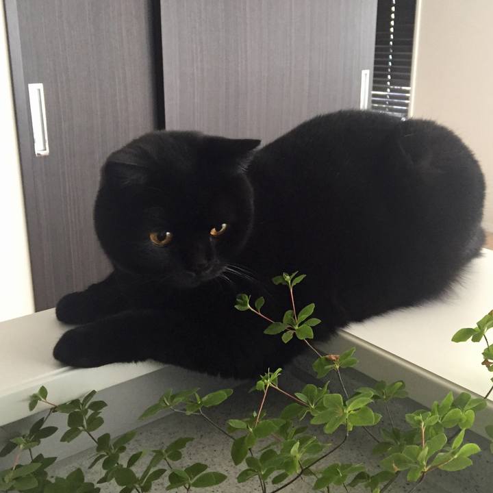 Fe9e65a4 95ef 4f05 a12b 7ed900886fd2 1532415789712