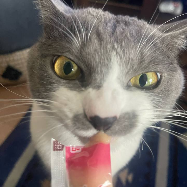 Fe9e8205 2d04 4063 b819 eb11d12b1288 1672811503947