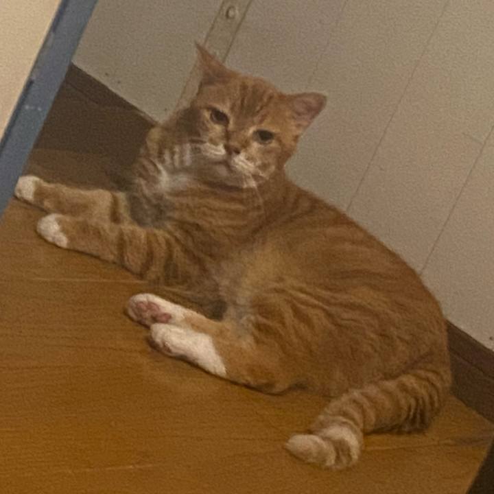 Fe9ea507 a654 47cc 8c45 25b14a3e1f48 1753192545667