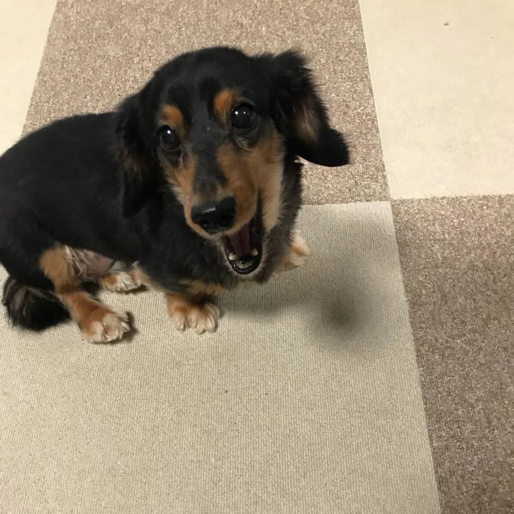 Fe9ee3c9 9d1c 4b05 aade 764dff527e35 1510956124583