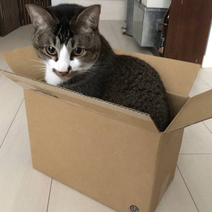 Fe9f870f 3dc5 4e14 b65c e29d67386469 1521948668155