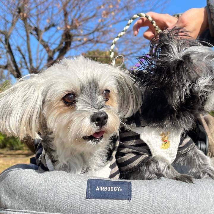 Fea016af b61d 4b40 9968 dcb2b7430f87 1765329899768