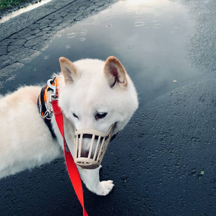 Fea0d11b 6c8f 401f ab19 db10acb1ef98 1633208143792