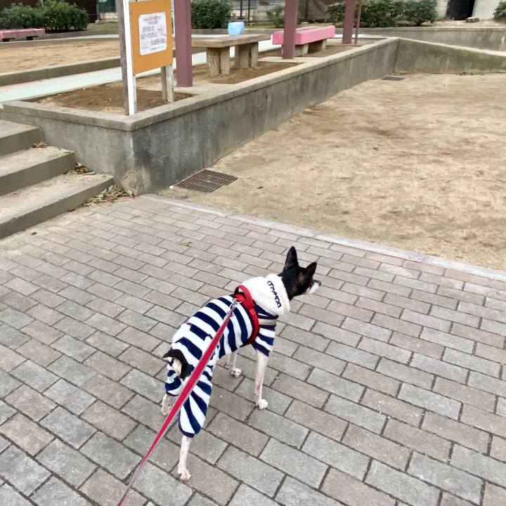 Fea0f5e3 bca8 43ed a8c8 f9abeed5aa0a 1583445654883