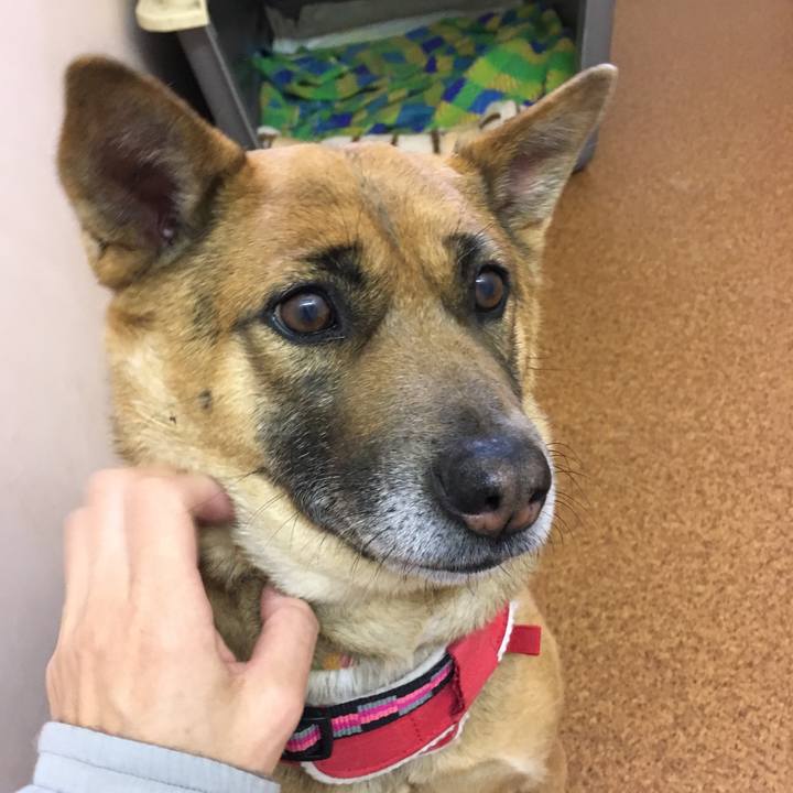 Fea0ff3e 90c2 42d1 acbc d0c5f02b3e43 1521432840806