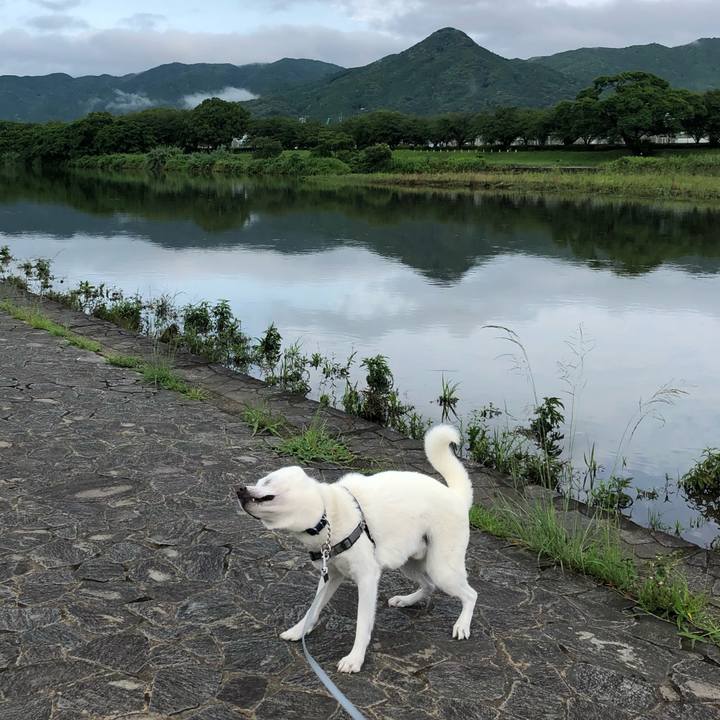 Fea10450 5b60 43aa bd1c c19dcecf2d2c 1593295151360