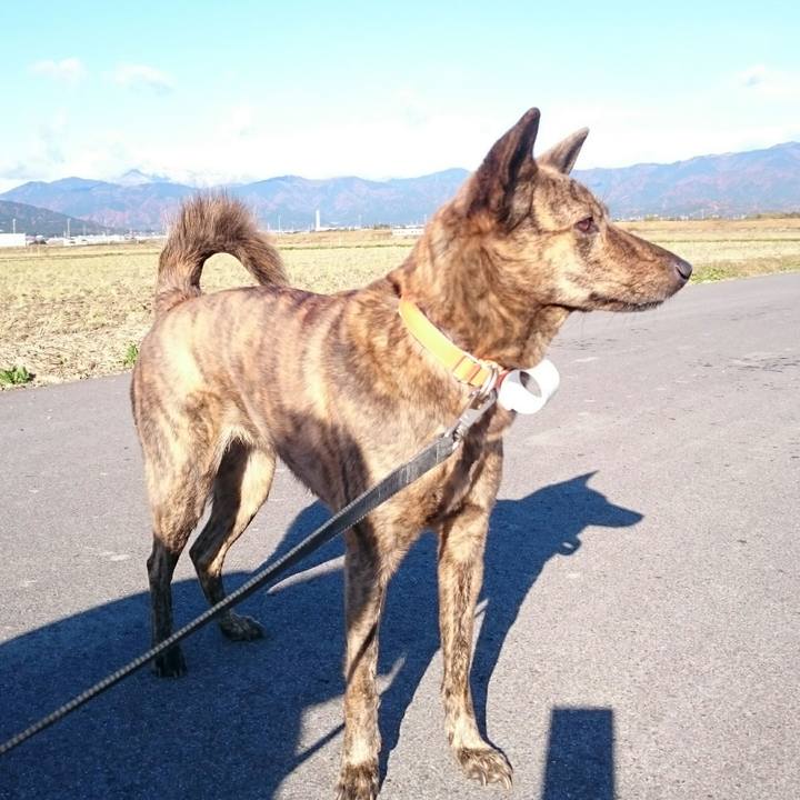 Fea10b0b 087e 4cfe 985f 1b4cedeab5e3 1512178297486