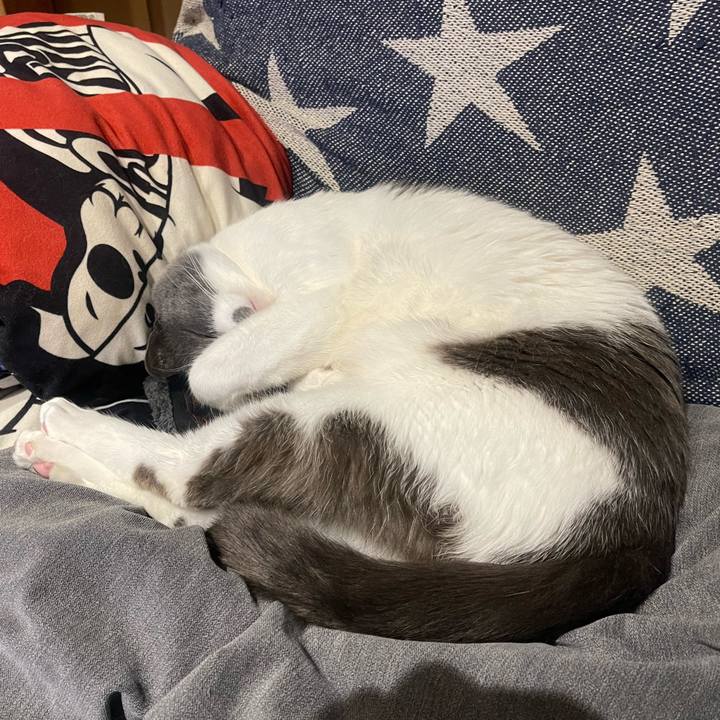 Fea126b2 8be1 415a a9cb 571a032fe955 1648896377381