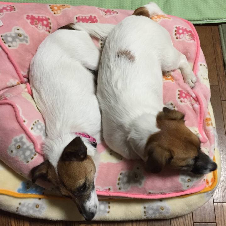 Fea13b6f 1bf0 44e4 9d08 1782eeac78b3 1513006753762