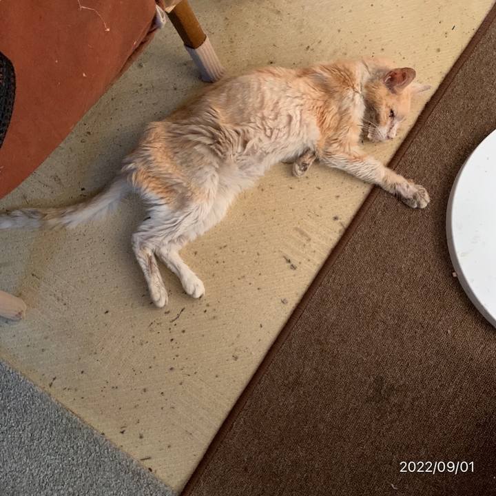 Fea15047 ba28 46dc 9152 bb300bcb87fe 1661987523737