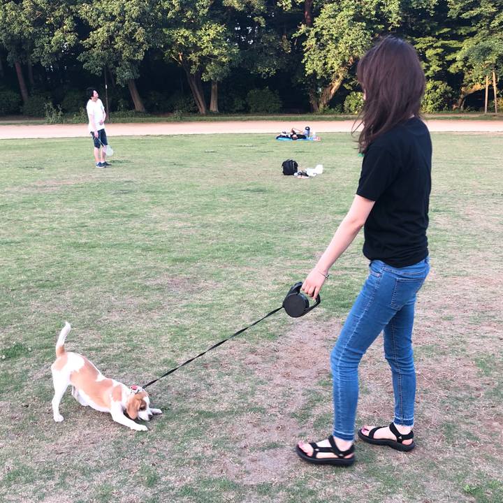 Fea15783 ac16 400c 8399 7da5f5e003f9 1527291173407